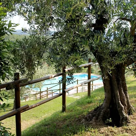 Popoltaio-schiacciato Sleeps 2 Pool T762685